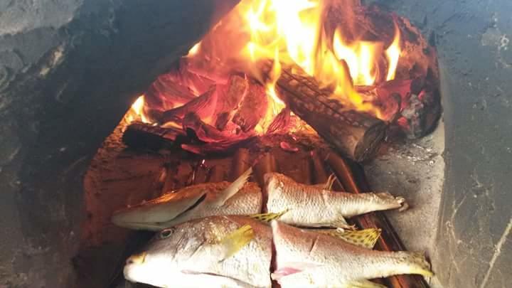 Mango Lodge Msambweni Kisimachande Buitenkant foto
