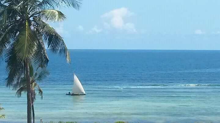 Mango Lodge Msambweni Kisimachande Buitenkant foto