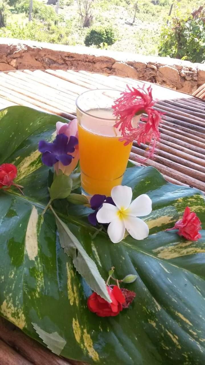 Mango Lodge Msambweni Kisimachande Buitenkant foto